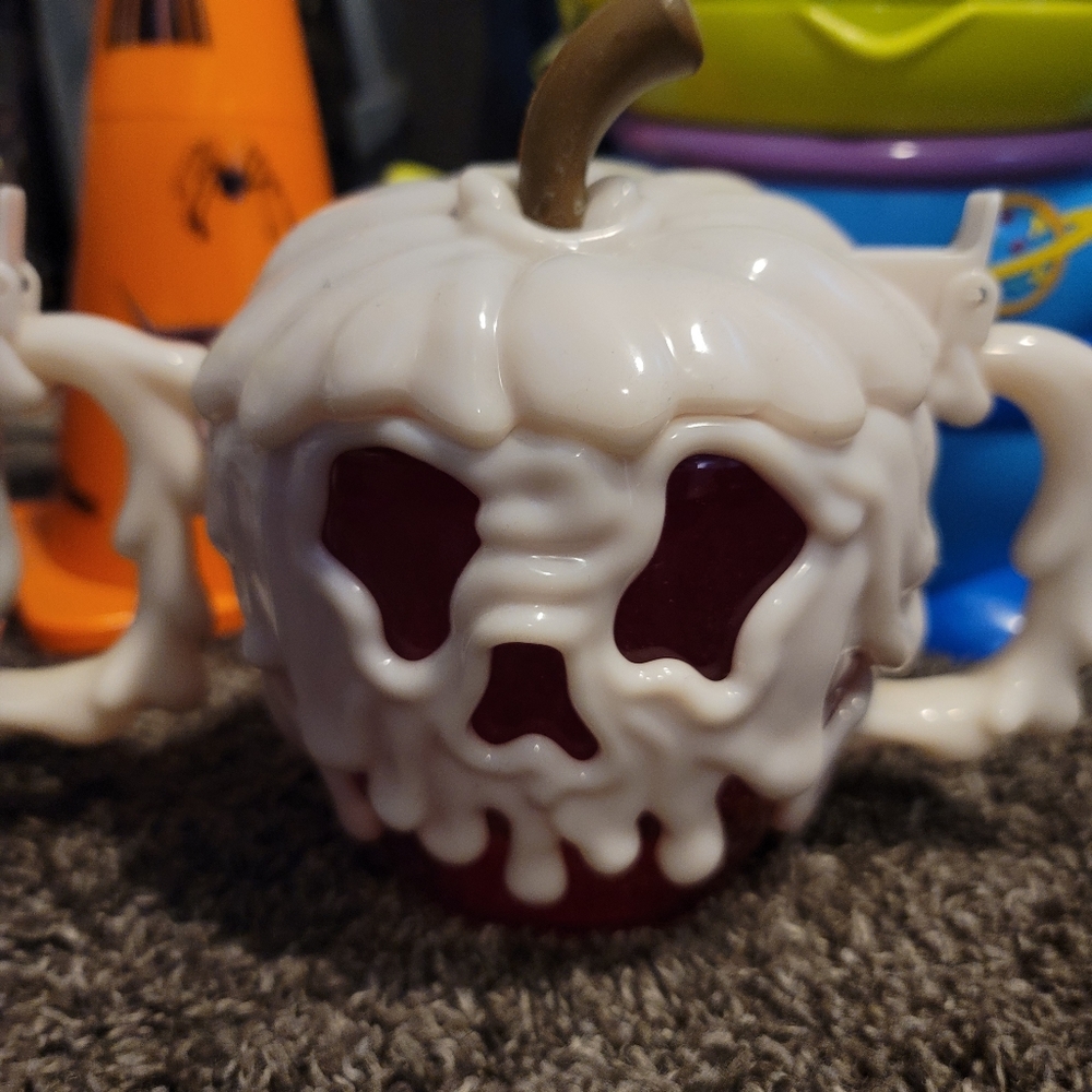 Disneyland Collectibles View 5